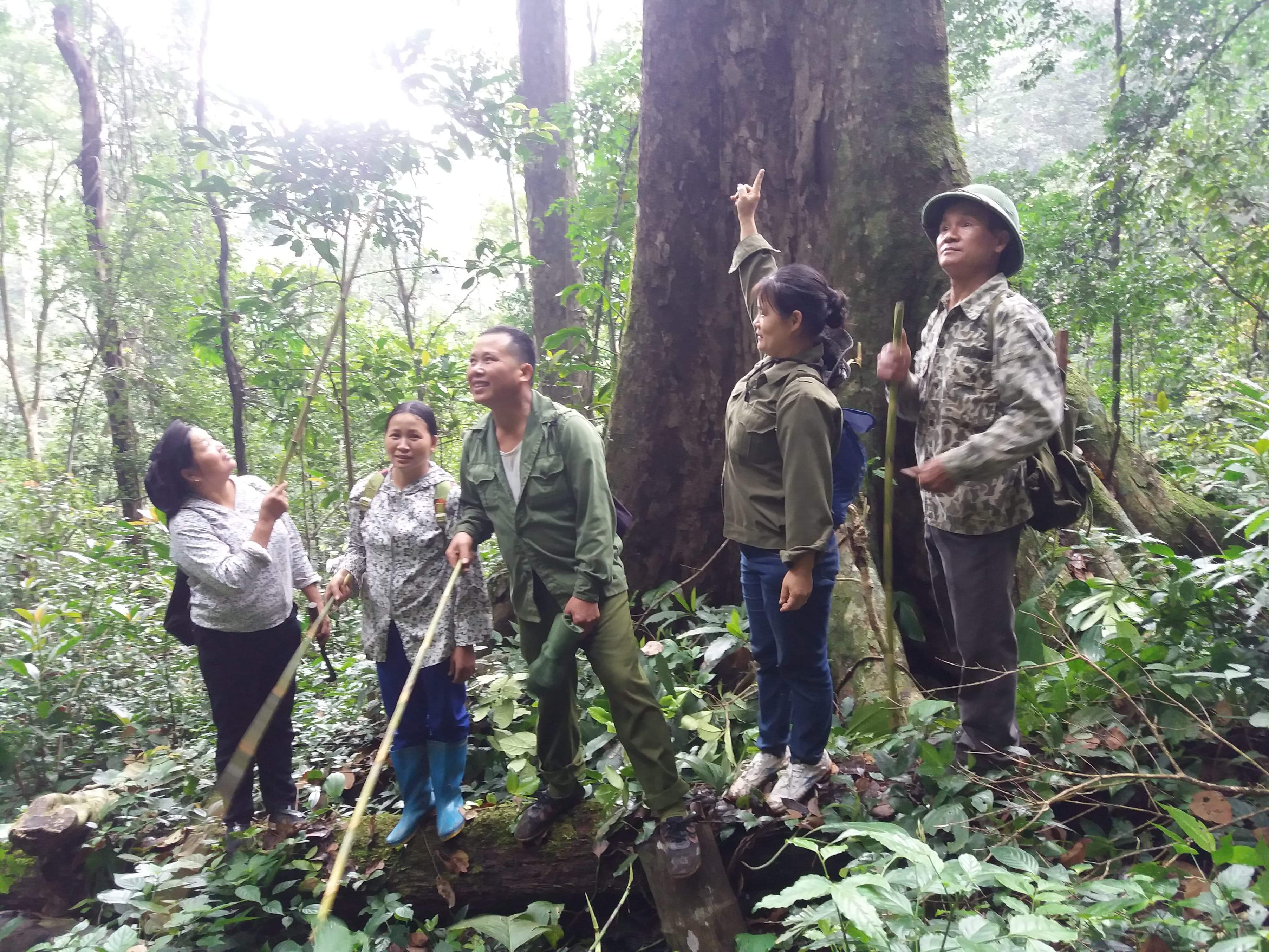 Tổ bảo vệ rừng thôn Nà Nèn  tuần tra bảo vệ rừng